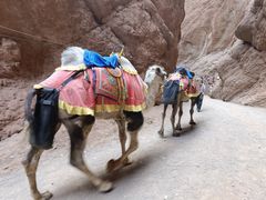 -天山神秘大峡谷