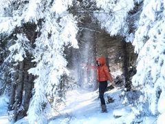 -太子岭滑雪场