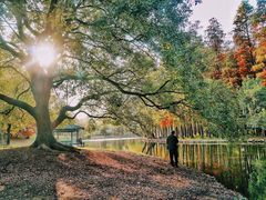 -共青国家森林公园-售票处