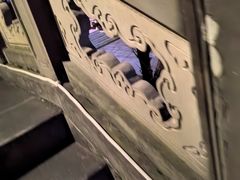 -鸿恩陶然大观园