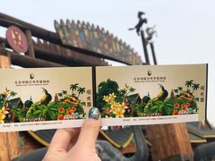 -呀路古热带植物园