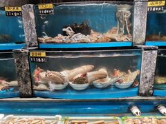 水产区-映像威海·海鲜味道(市区店)