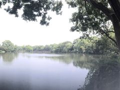 -西湖外事游船(花港观鱼码头)