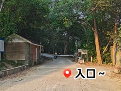 -紫金山山顶公园