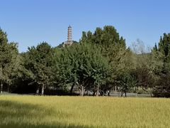 -北坞公园