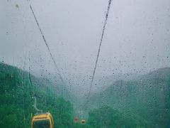 -栾川竹海野生动物园