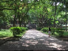 校园-中山大学学者灵芝(园南路店)