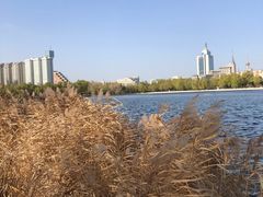-莲花池公园
