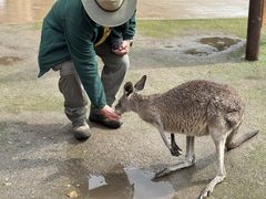 -可伦宾野生动物保护区