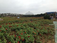 -武汉紫薇都市田园