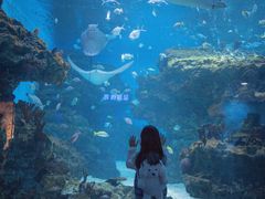 -海合安成都极地海洋公园