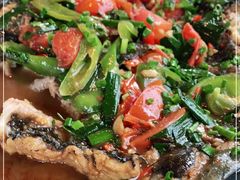 -生态苑农庄(十里画廊遇龙河店)