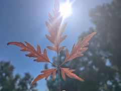 -十三陵水库