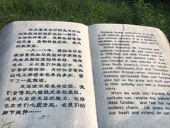 -波尔登森林公园