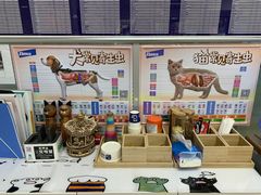 -宠颐生中康贝怡动物医院