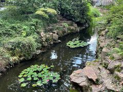 -上海醉白池公园