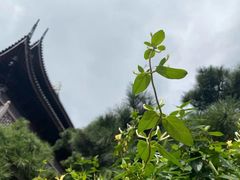 -龙华寺