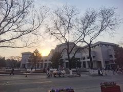 -北京大学百年讲堂