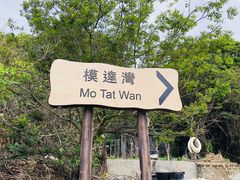-南丫岛