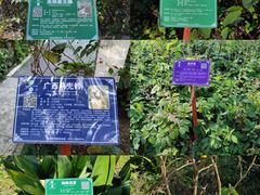 -广西壮族自治区药用植物园
