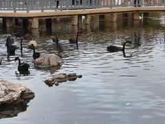 -鄂尔多斯野生动物园