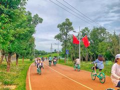 -白鹭湾湿地公园