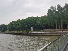 -上海月湖雕塑公园