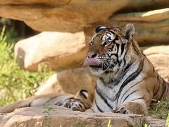 -北京野生动物园