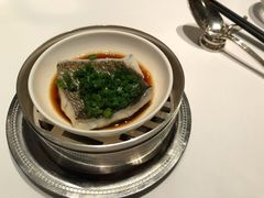 葱油蒸野生黄鱼-福1015(愚园路店)