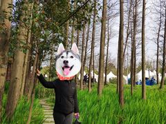 -上海长兴岛郊野公园