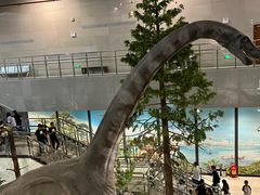 -湖南省地质博物馆