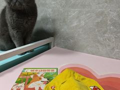 -瑞虹新天地月亮湾
