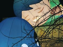 -武汉园博园(武汉自然博物馆)