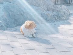 场地-鬼笑石后山停车场