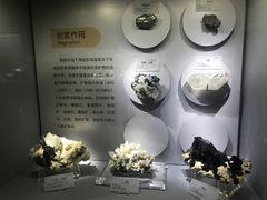 -湖南省地质博物馆