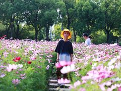-华东政法大学(松江校区)