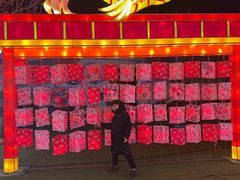 -淄博花灯齐彩城