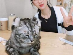 -藏猫猫咖啡主题馆(中央大道店)