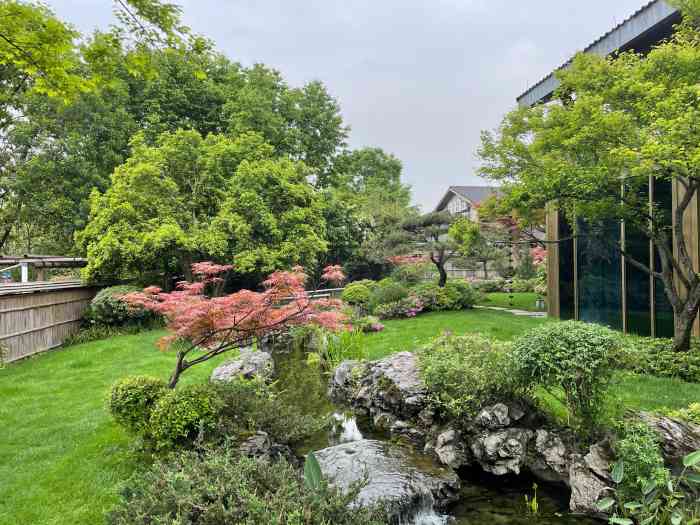 新荣记(西溪湿地店)-"打卡新荣记,算是弥补没有去台州的遗憾.地.