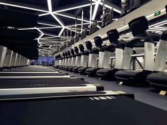 -金吉鸟健身游泳