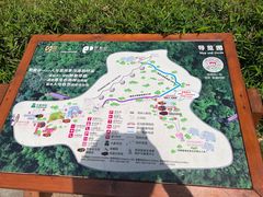 -野象谷景区