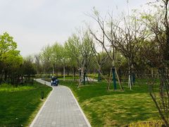 -上海山野camping·户外天幕烧烤·团建拓展营地
