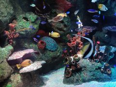 -沈阳海洋探索中心