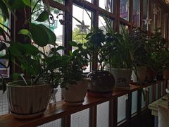 -Cafe Alice咖啡爱丽丝(奥城店)