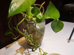 -雅致小菜馆(东风东路店)