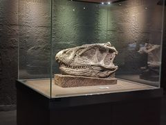 -自贡恐龙博物馆