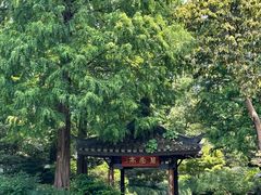 -杭州植物园