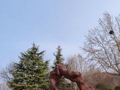 -山东艺术学院(长清校区)