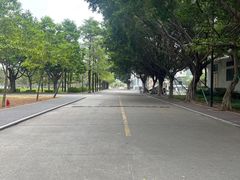 -顺德职业技术大学