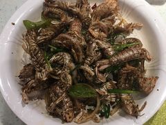 -赵氏老北京涮羊肉羊蝎子(蓝村店)